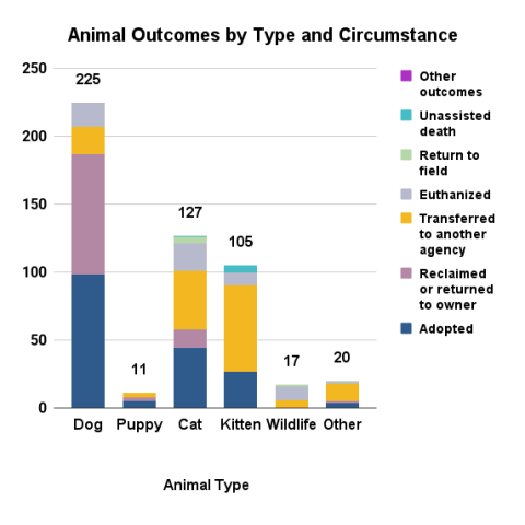 April 2025 animal outcomes by type and circumstance
