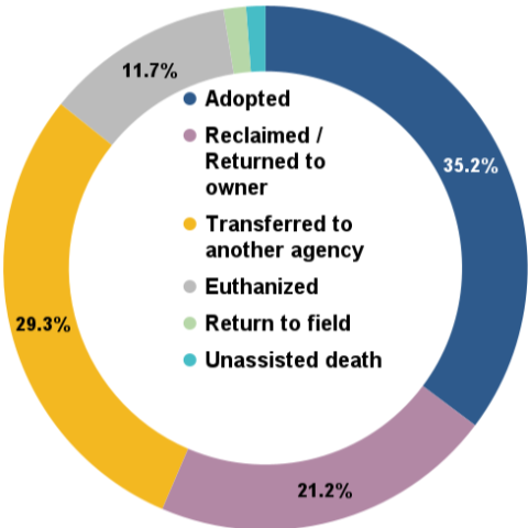 April 2025 total animal outcomes
