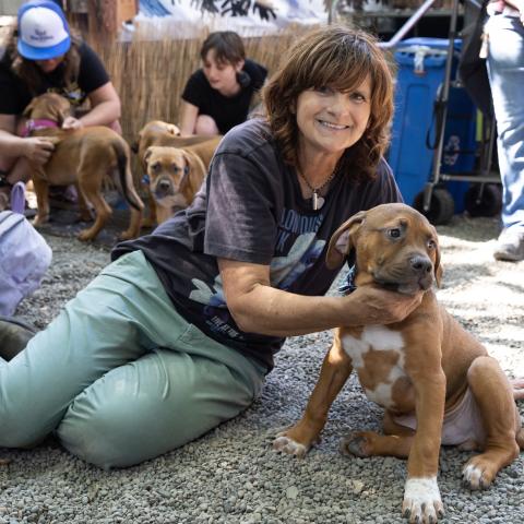 Amy Ray of The Indigo Girls with mastiff puppies backstage at Edgefield