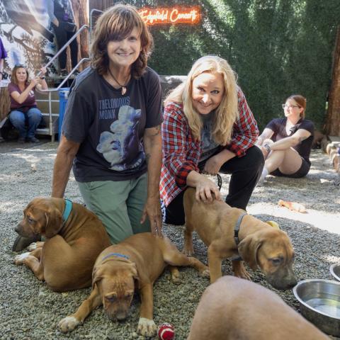 Amy Ray and Melissa Etheridge visit with mastiff puppies backstage at Edgefield