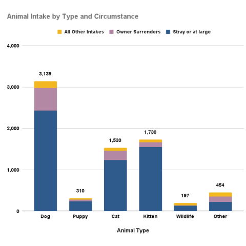 FY 2025 Animal intake by type and circumstance