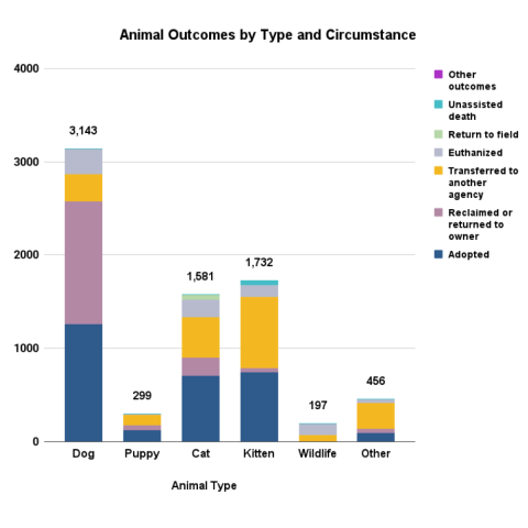 Animal outcomes by type and circumstance - FY 2025