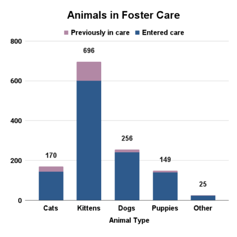 FY 2025 Animals in Foster Care