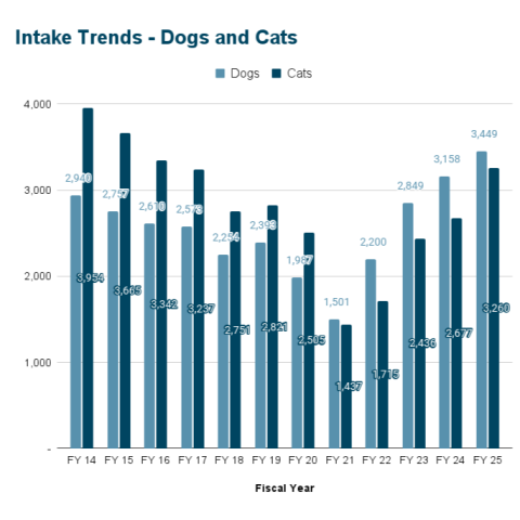 Dog and Cat intake trends - FY 2014 to FY 2025