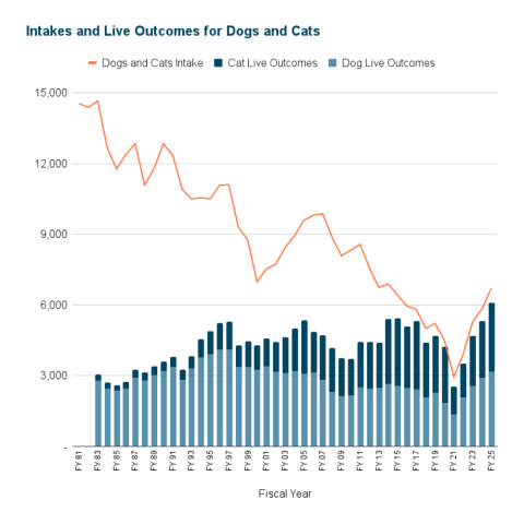 Intakes and Live Outcomes Comparison for Dogs and Cats - FY 1982 to FY 2025