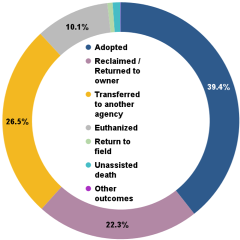 Total animal outcomes - FY 2025