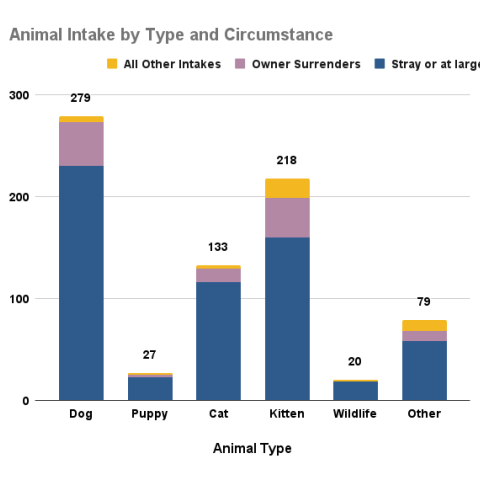 July 2025 animal intakes by type and circumstance