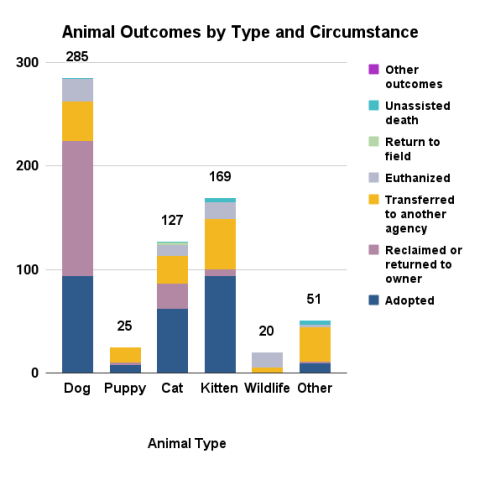 July 2025 animal outcomes by type and circumstance