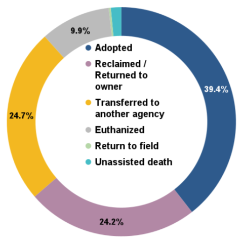 Total animal outcomes - July 2025