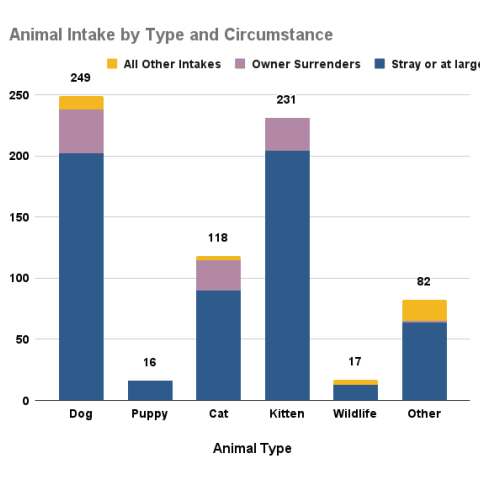 August 2025 - animal intake by type and circumstance