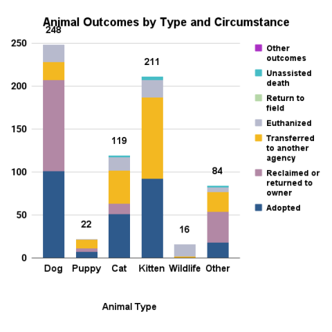 August 2025 - animal outcomes by type and circumstance