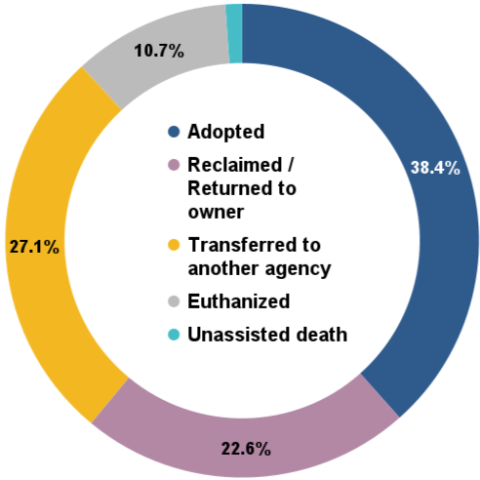 August 2025 - total animal outcomes