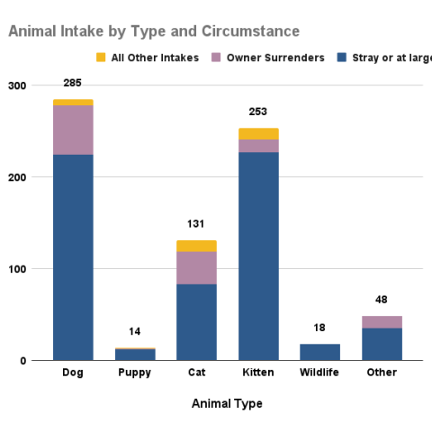 September 2025 Animal Intake by Type and Circumstance