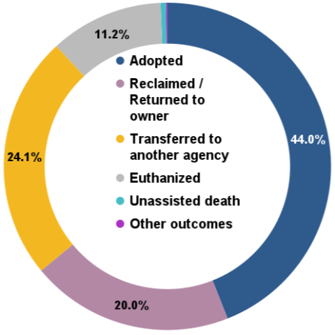 September 2025 Total Animal Outcomes