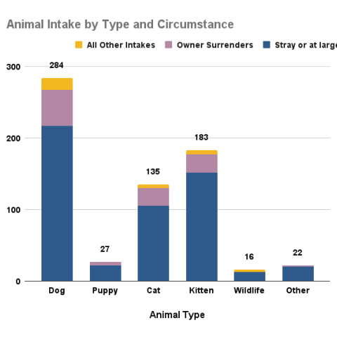 October 2025 intakes by type and circumstance