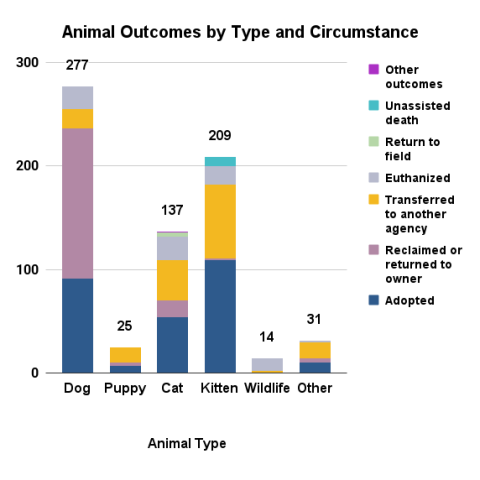 October 2025 animal outcomes by type and circumstance