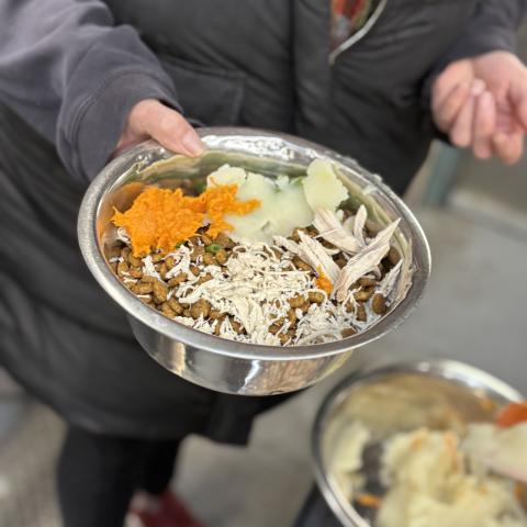 A bowl of food prepared for shelter pets by the Holiday Host volunteers