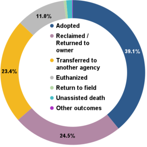 October 2025 total animal outcomes