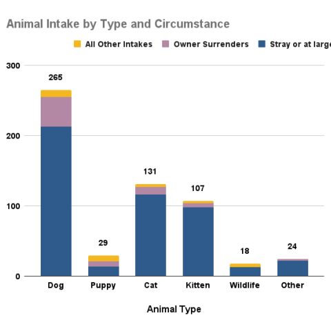Animal intake by type and circumstance - November 2025