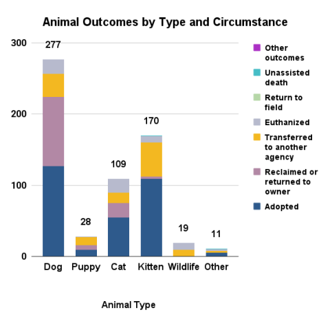 Animal outcomes by type and circumstance - November 2025