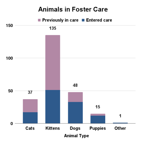 Animals in foster care - November 2025