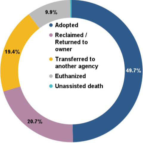 Total animal outcomes - November 2025