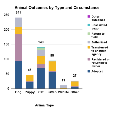 Animal outcomes by type and circumstance - December 2025