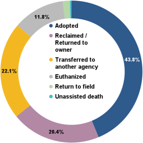 Total animal outcomes - December 2025