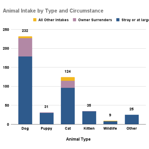 Animal intake by type and circumstance - January 2026
