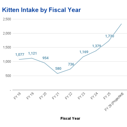 A graph of kitten intake from FY 2018 to FY 2025, and a projection for FY 2026. The graph shows a consistent growth in recent years, from just over 1,000 kittens per year, to over 1,700 kittens in FY 2025