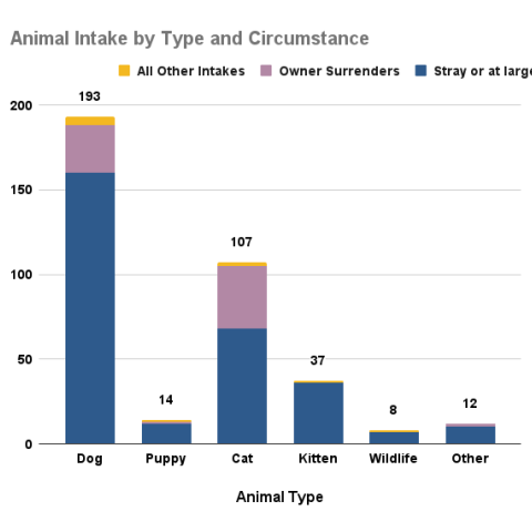 Animal intake by type and circumstance, February 2026