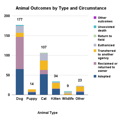 Animal outcomes by type and circumstance, February 2026
