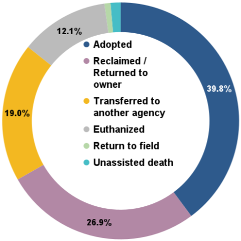 Total animal outcomes, February 2026