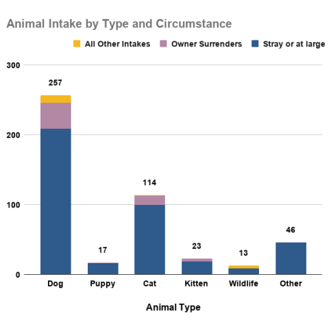 March 2026 - Animal Intake by Type and Circumstance
