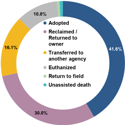 March 2026 - Total Animal Outcomes