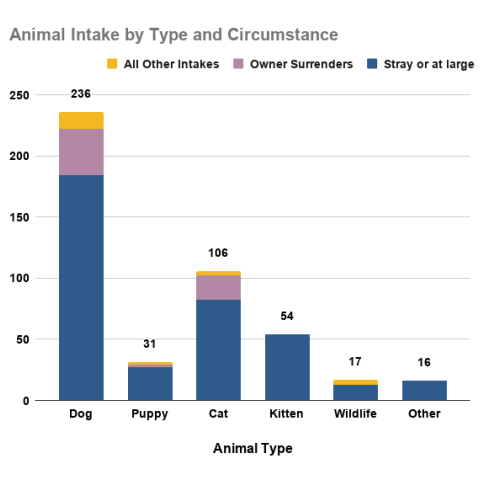 Animal intake by type and circumstance - April 2026