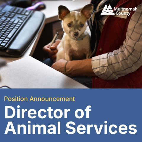 Position Announcement - Director of Animal Services - a person with a dog in their lap, sitting at a desk