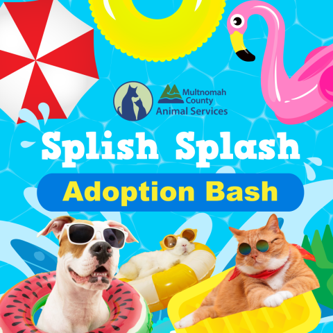 Splish Splash Adoption Bash graphic - a pool party theme with a dog, cat, and rabbit surrounded by vibrant pool floats, and Multnomah County Animal Services logo