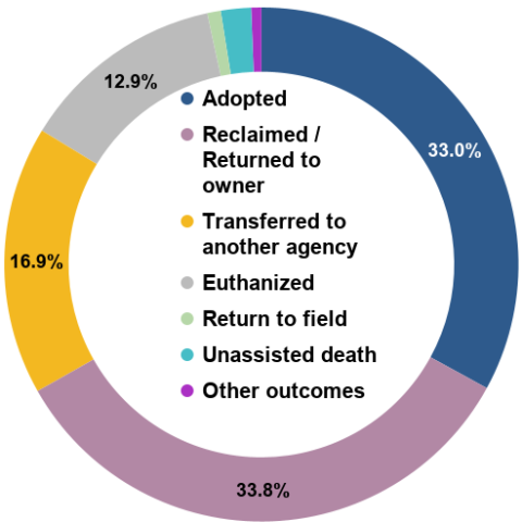 Total animal outcomes - April 2026