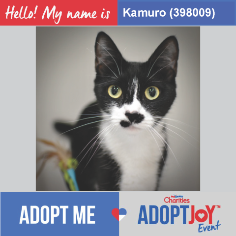 Adopt Joy adoptable pet frame, featuring Petsmart Charities logo and event branding, promoting a black and white cat named "Nerman"