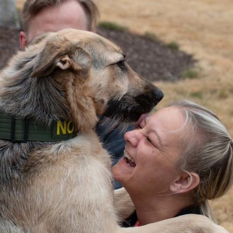 K-9 Nova, formerly Xanadu (383394) at MCAS, shares a warm reunion with Jodi Luffman, Multnomah County Animal Services Transfer Coordinator