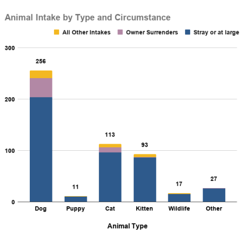 June 2026 animal intakes by type and circumstance