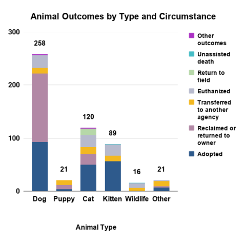 June 2026 animal outcomes by type and circumstance