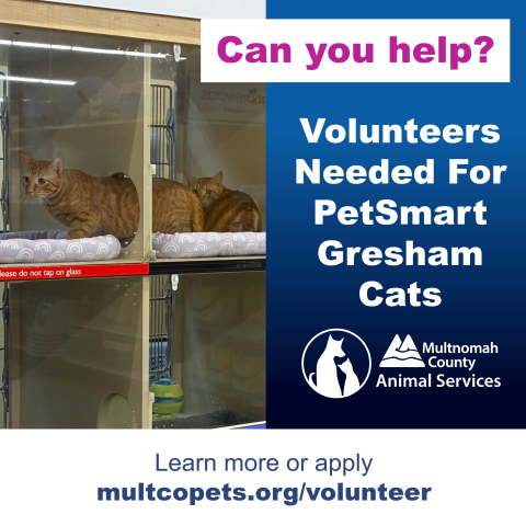 Can you help? Volunteers Needed for PetSmart Gresham Cats