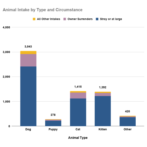 FY 2026 Animal Intake By Type and Circumstance
