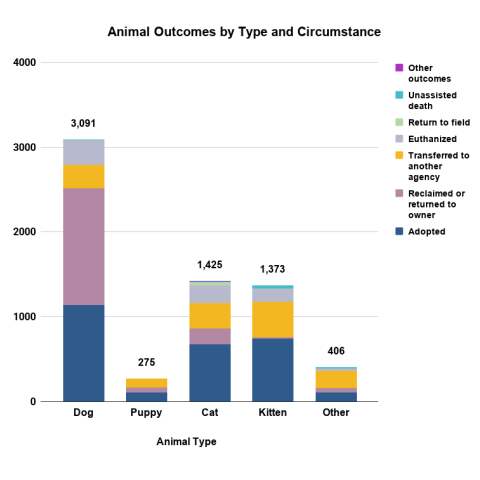 Animal Outcomes by TYpe and Circumstance - FY 2026