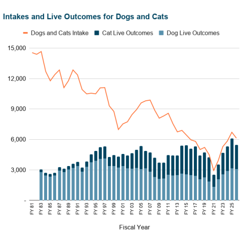 Intakes and Live Outcomes for Dogs and Cats - Fy 1981 to 2026