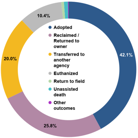Total Animal Outcomes - FY 2026