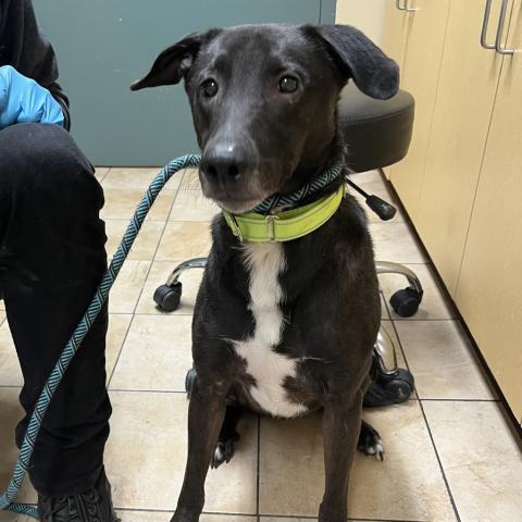 Photo for 100144 [Axel]