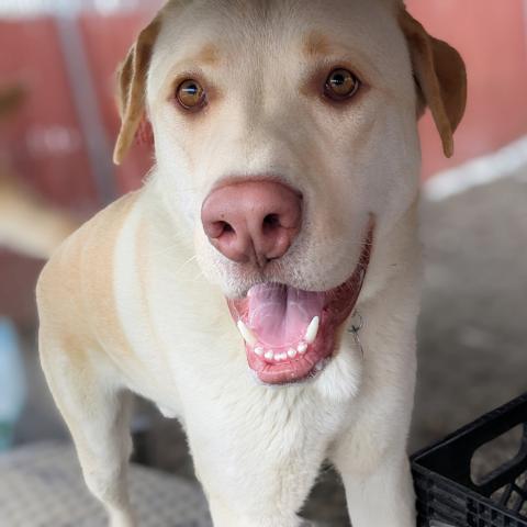 Photo for 104211 [Spencer]